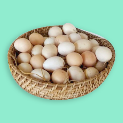 Local Chicken Egg