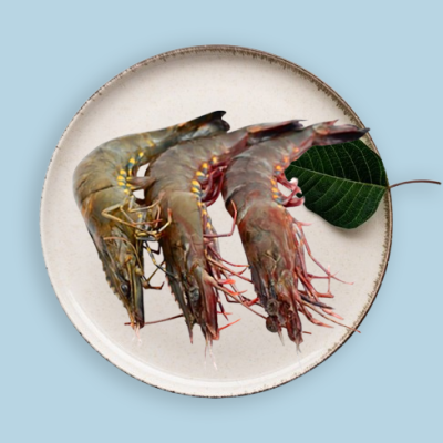Prawn