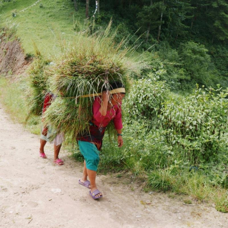Focusing on Amlighat Farmers to Empower Local Communities.