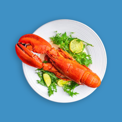 Lobster