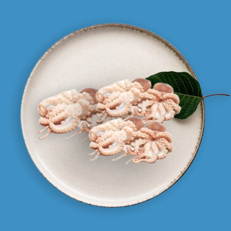Octopus