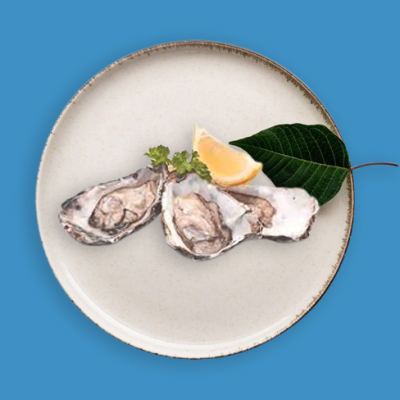 Oysters