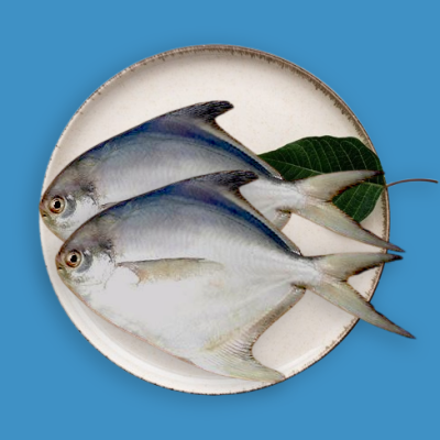 Pomfret