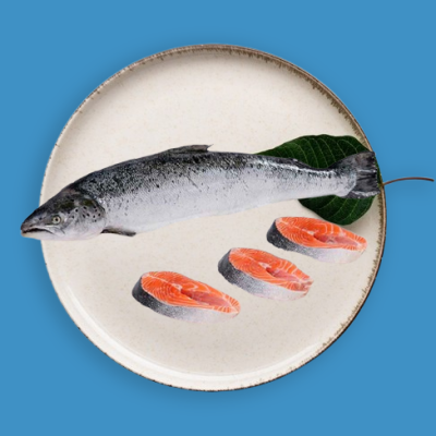 Salmon