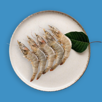 Shrimp
